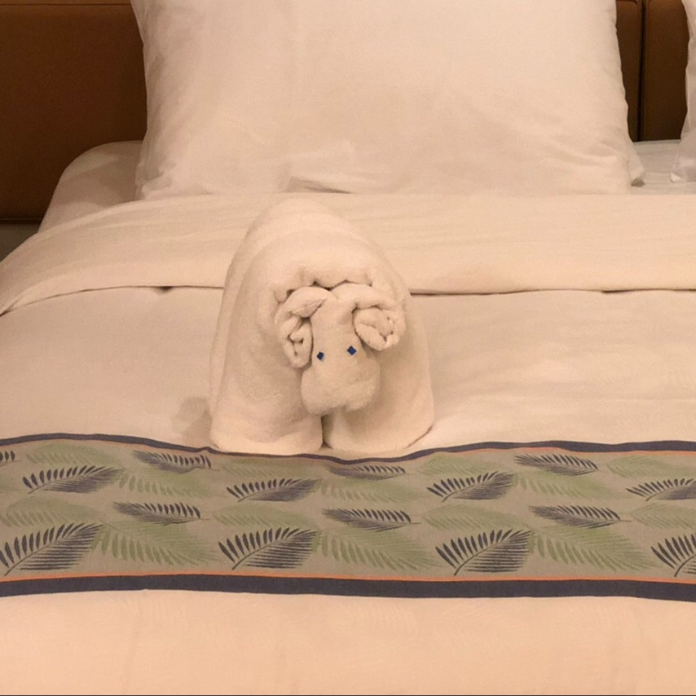 Meet your Posher, Dizel